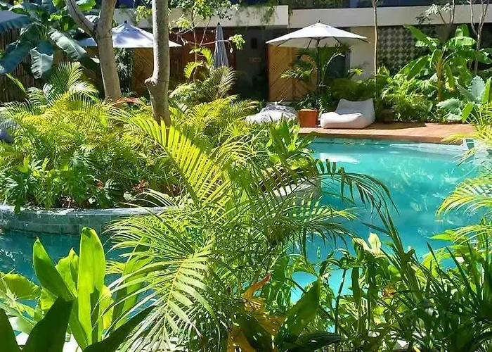 5 Star New Luxury With Infinity & Cenote Pools